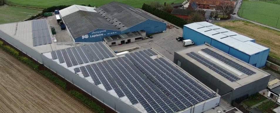 zonnepanelen industrie eigen verbruik