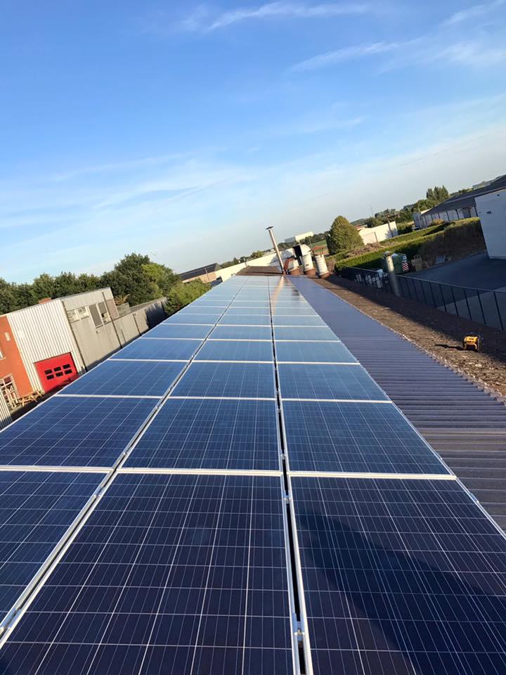 zonnepanelen ardooie