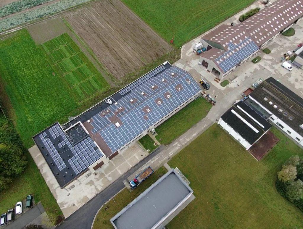 zonnepanelen boeren