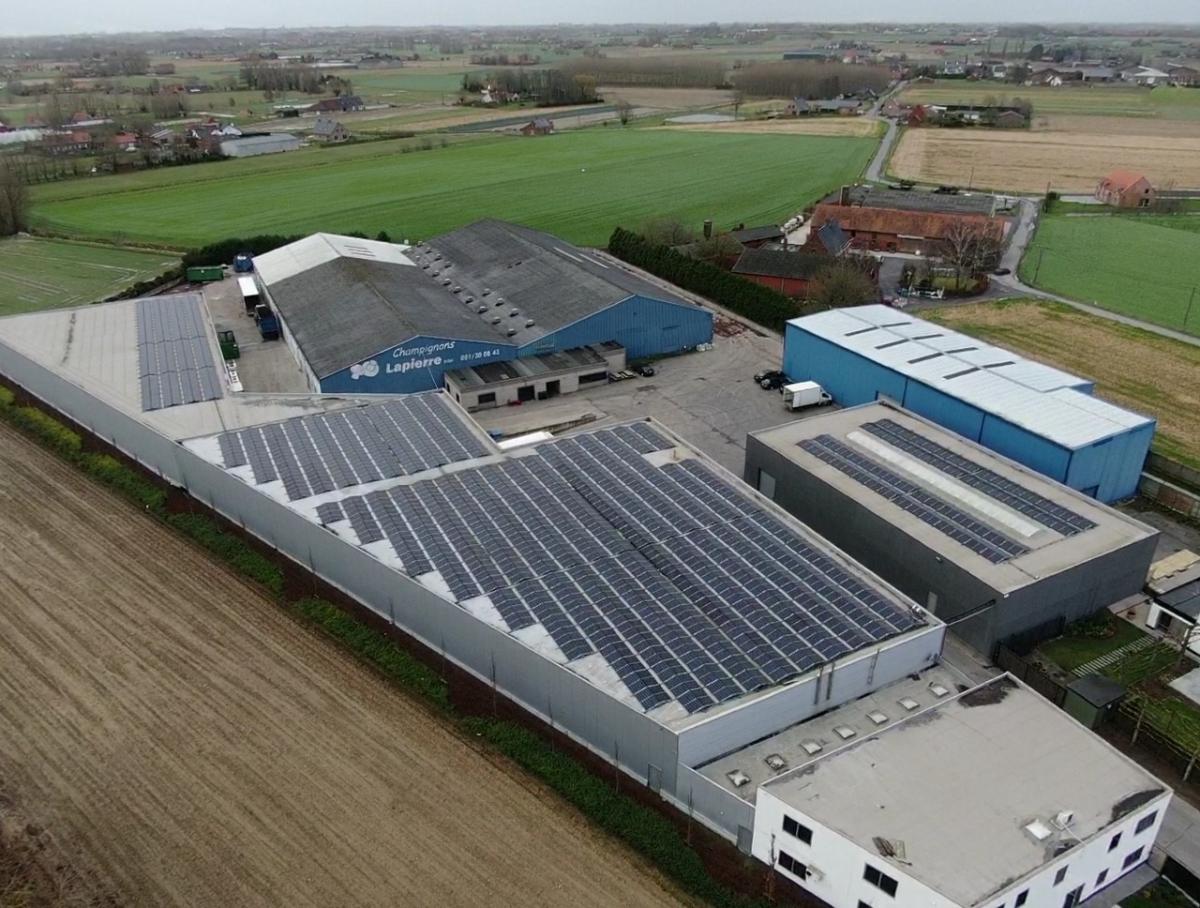 zonnepanelen industrie eigen verbruik