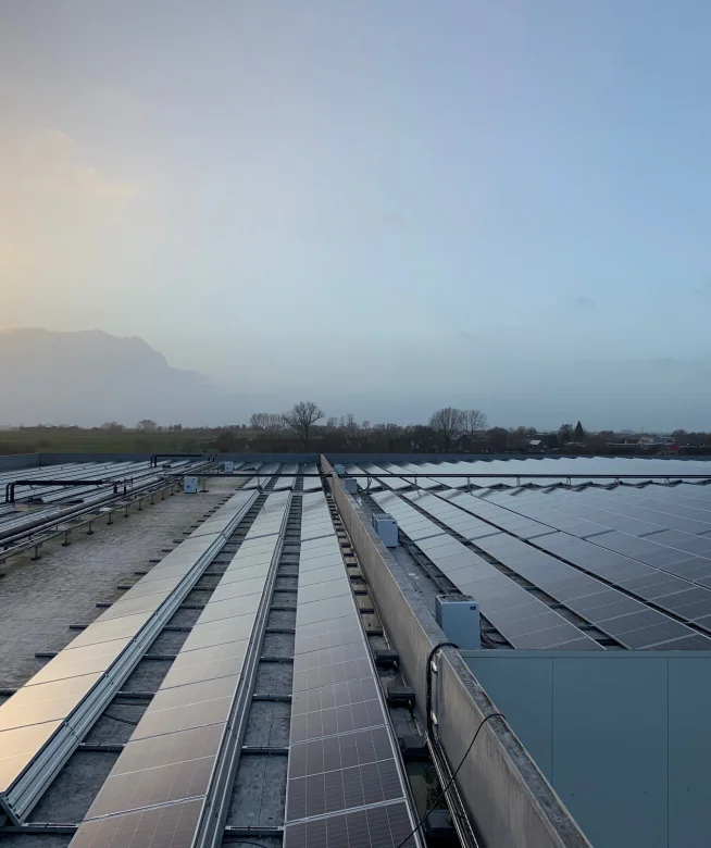 Rijen zonnepanelen op een industriedak bij zonsopgang